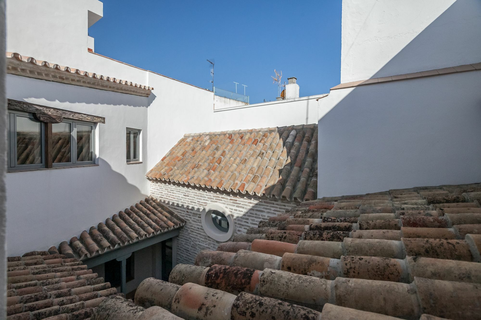 Tintes12 Seville